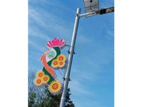 Đèn trang trí tết và đường hoa