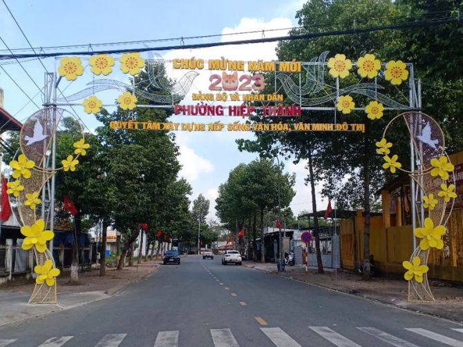 Đèn trang trí tết và đường hoa