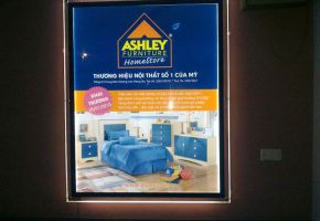 Hình ảnh đẹp của tôi